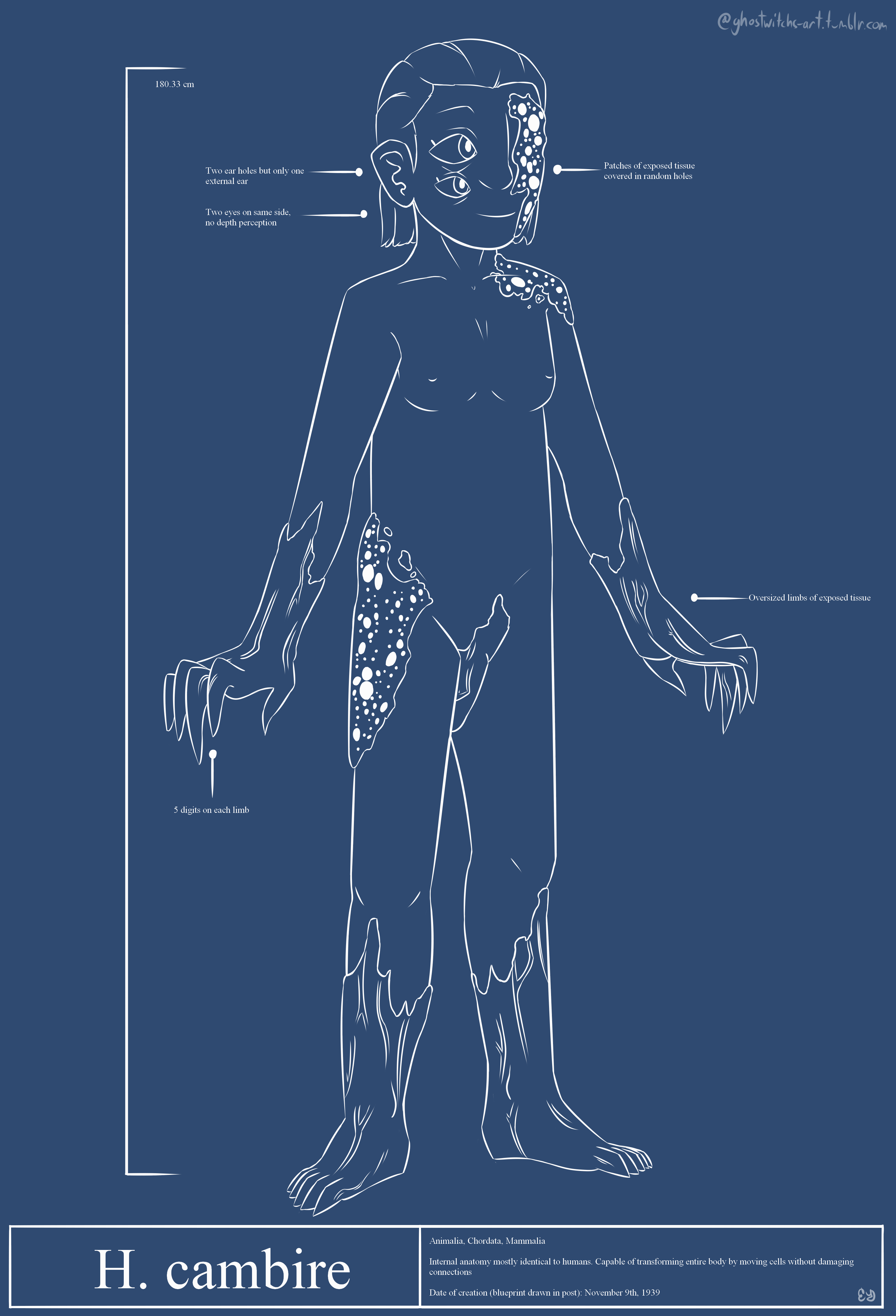 A colored sketch of Sybil. An exetremely pale woman with shaved white hair and red eyes (both in sclera and iris). Her arms, hands, legs, and feet appear veiny and red with exposed muscle tissue. She also has patches of this tissue scattered across her body and taking up most of her face. The patches of tissue have many small, uneven holes in them.